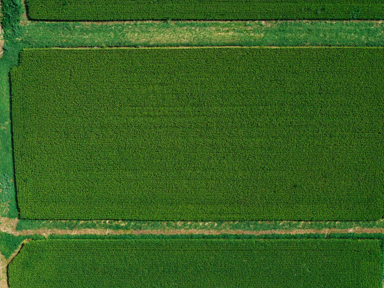 削られた山が語るもの-福岡県田川郡香春町香春岳(かわらだけ)