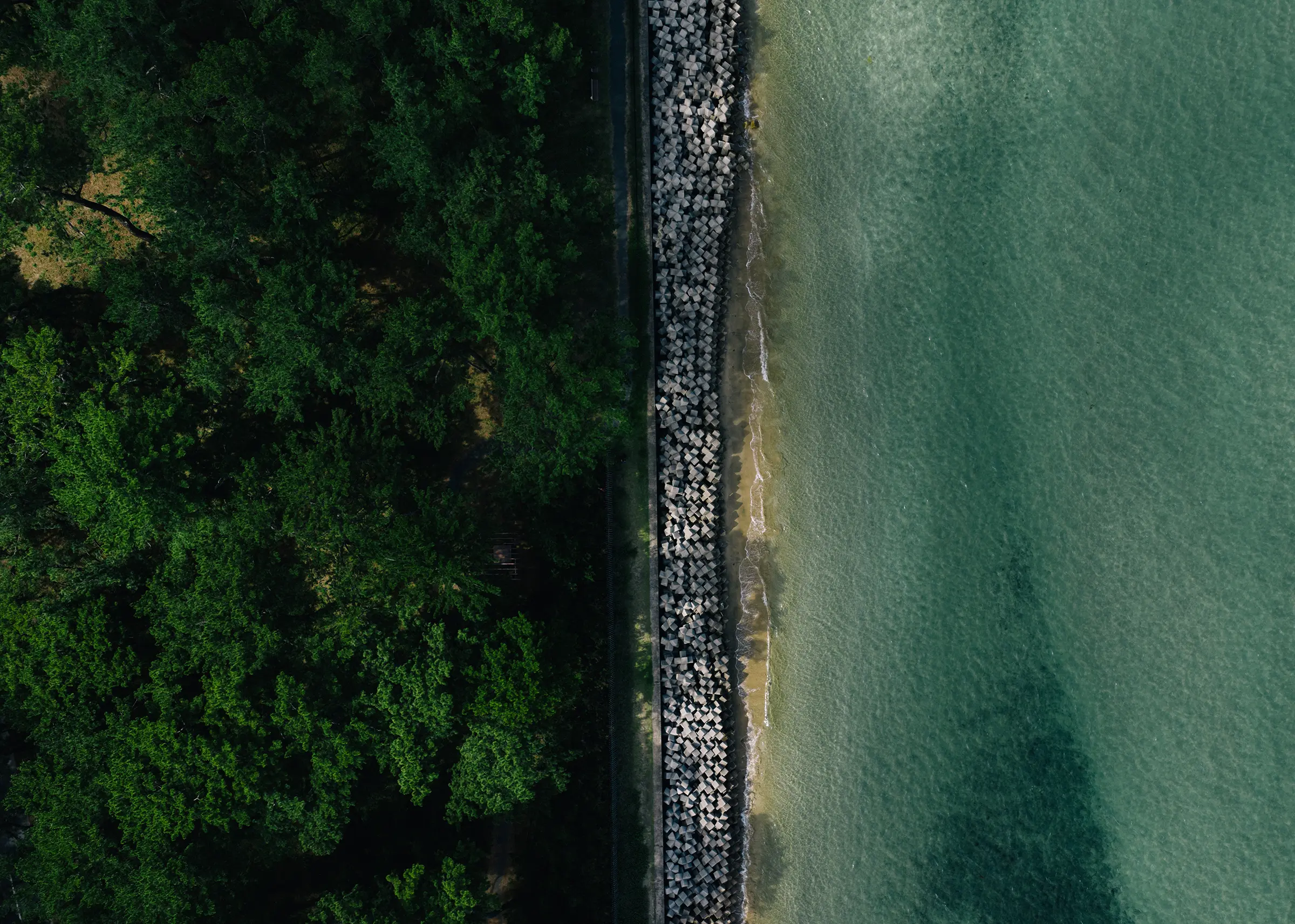 先人は松影から何を見ていたのか-福岡県宗像市さつき松原