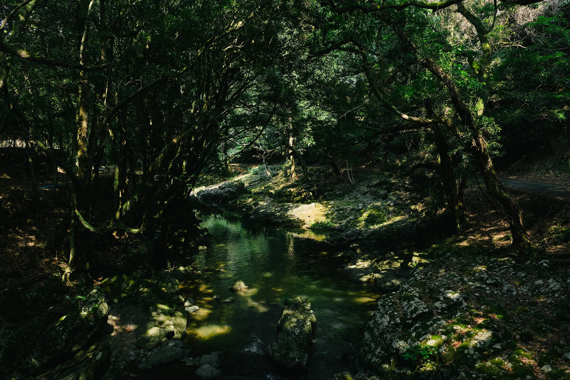 名所じゃなくても、流れているもの-福岡県宮若市千石峡(せんごくきょう)