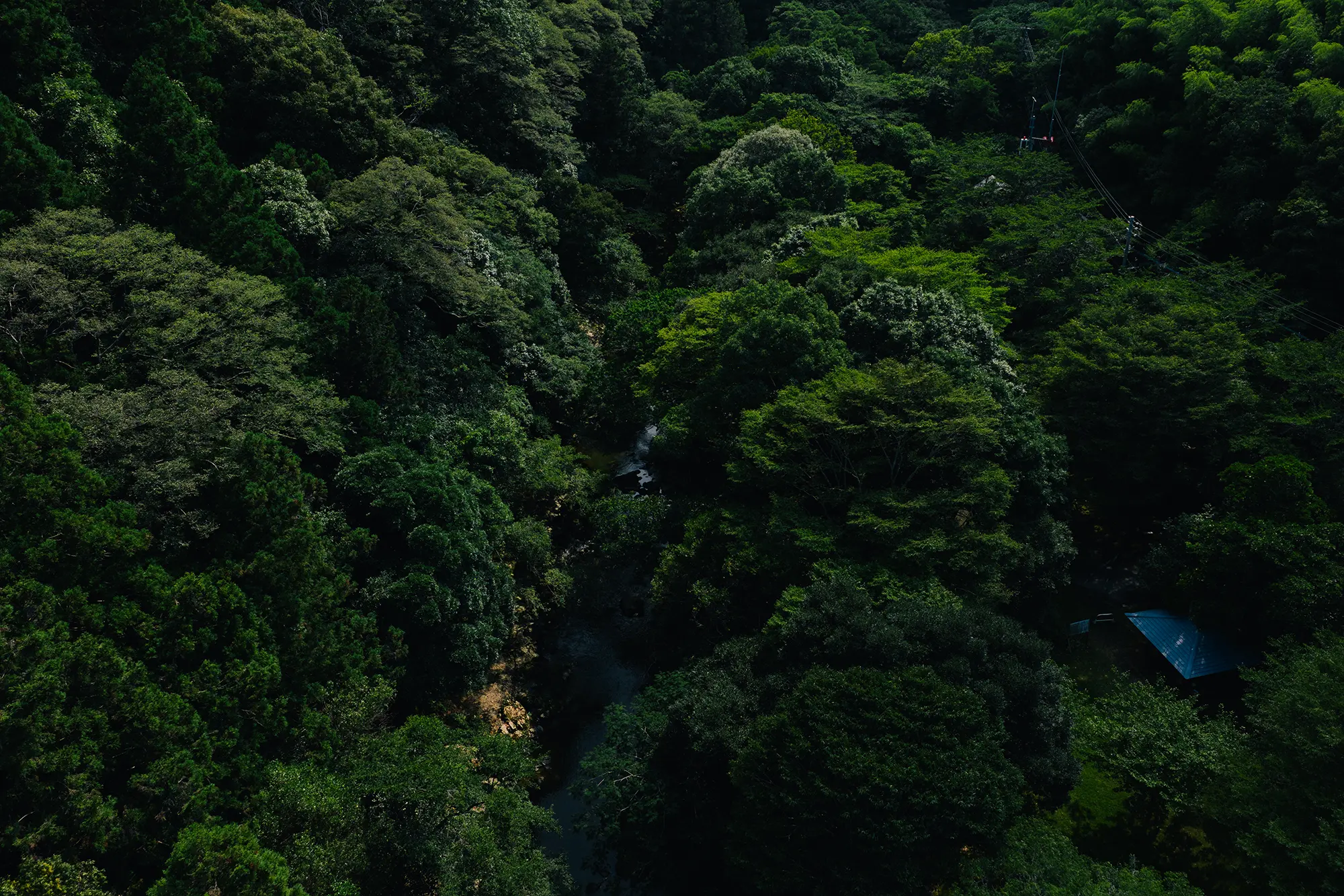 名所じゃなくても、流れているもの-福岡県宮若市千石峡(せんごくきょう)