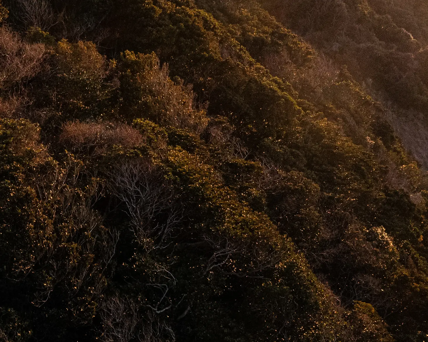 夕日と出会う駐車場-福岡県福津市楯崎神社駐車場