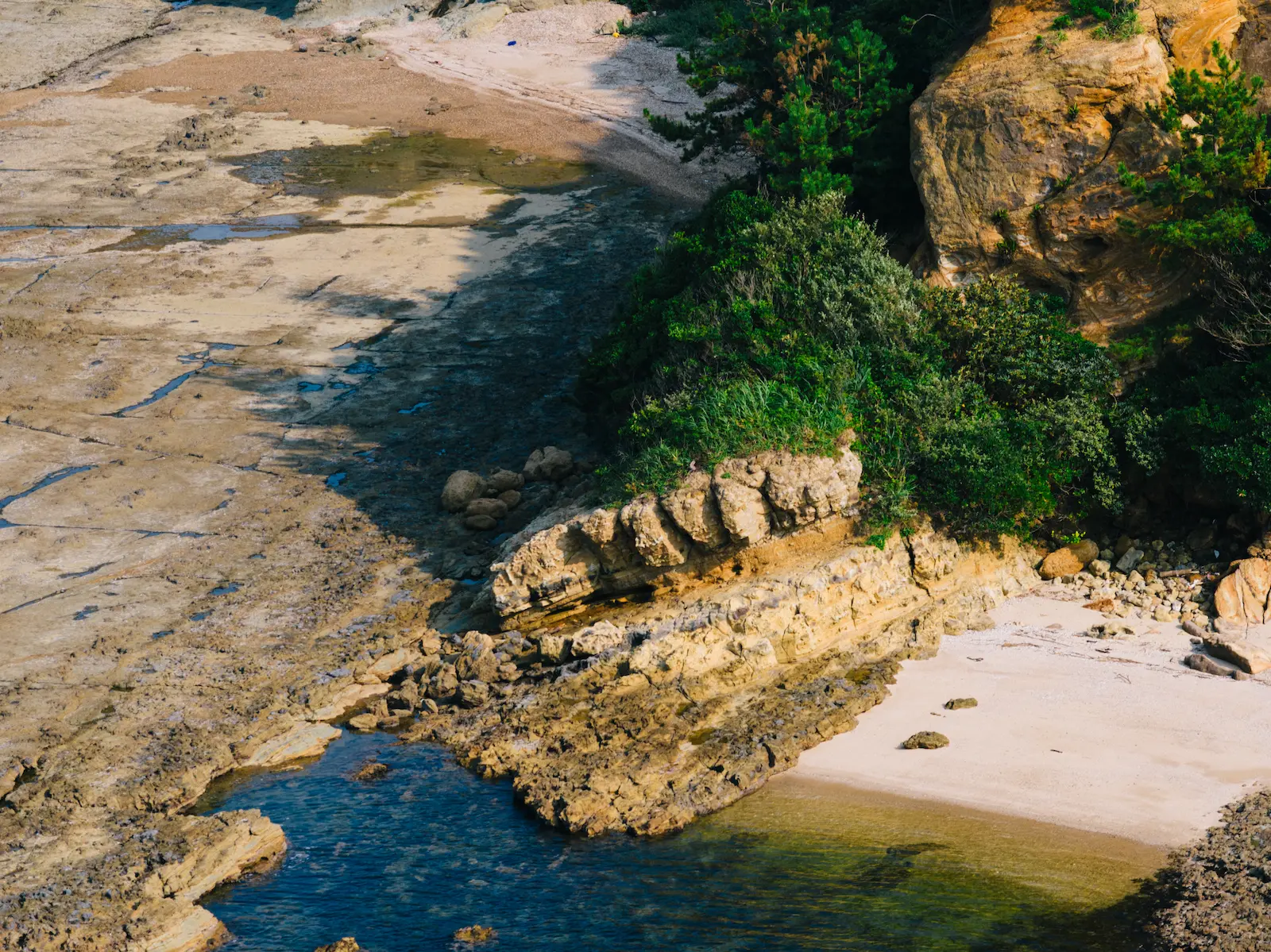 波が刻んだ地層と海の境界を歩く-福岡県北九州市若松区遠見ヶ鼻(とおみがはな)