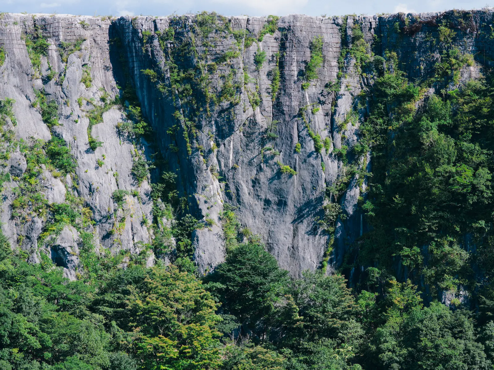 削られた山が語るもの