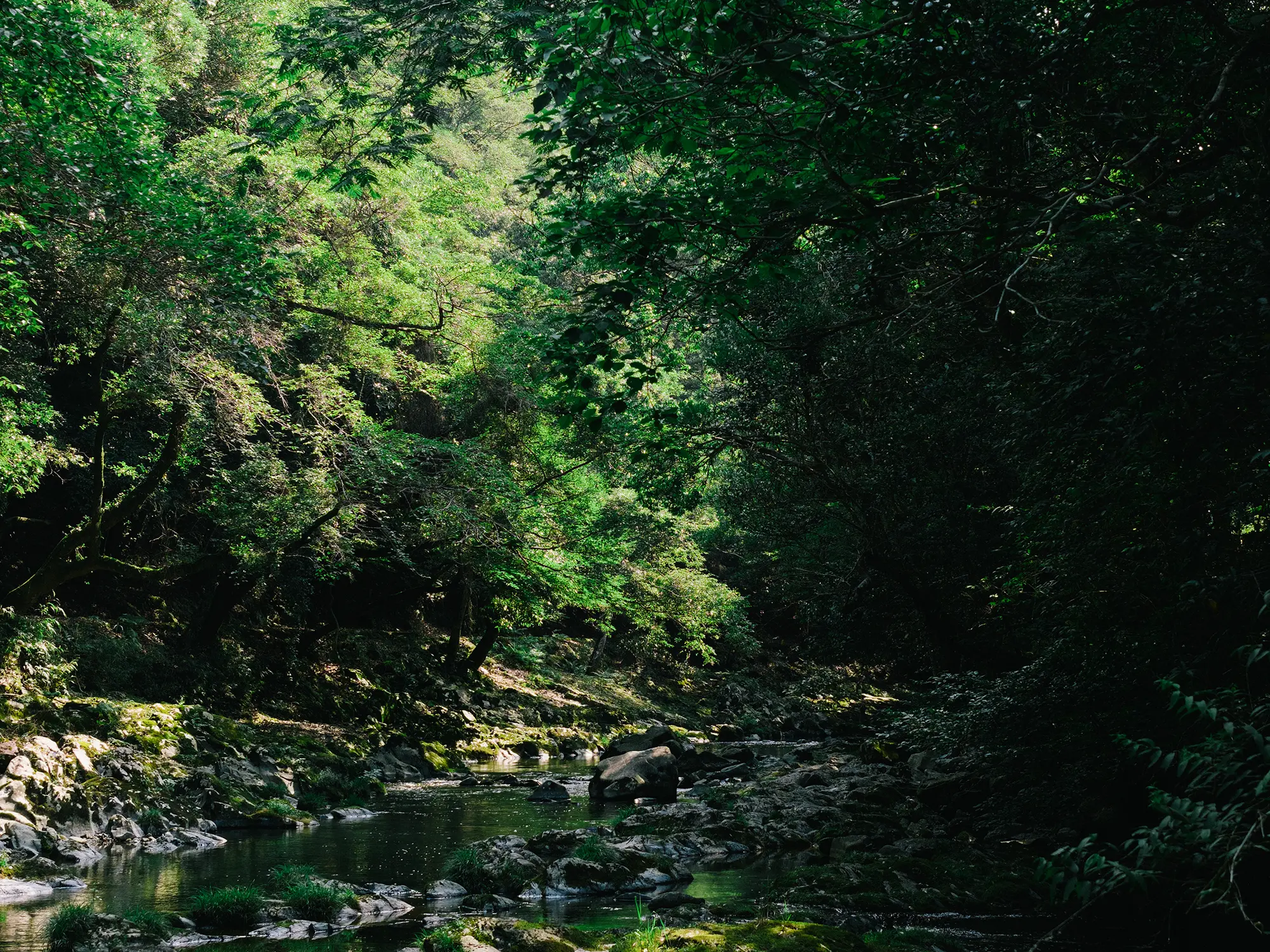 名所じゃなくても、流れているもの