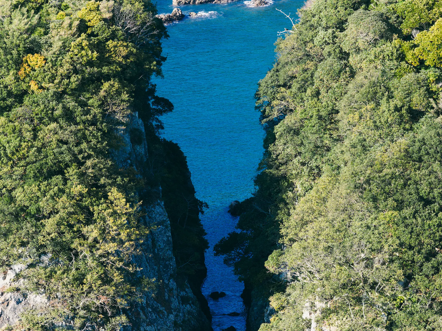 静かな入り江の海
