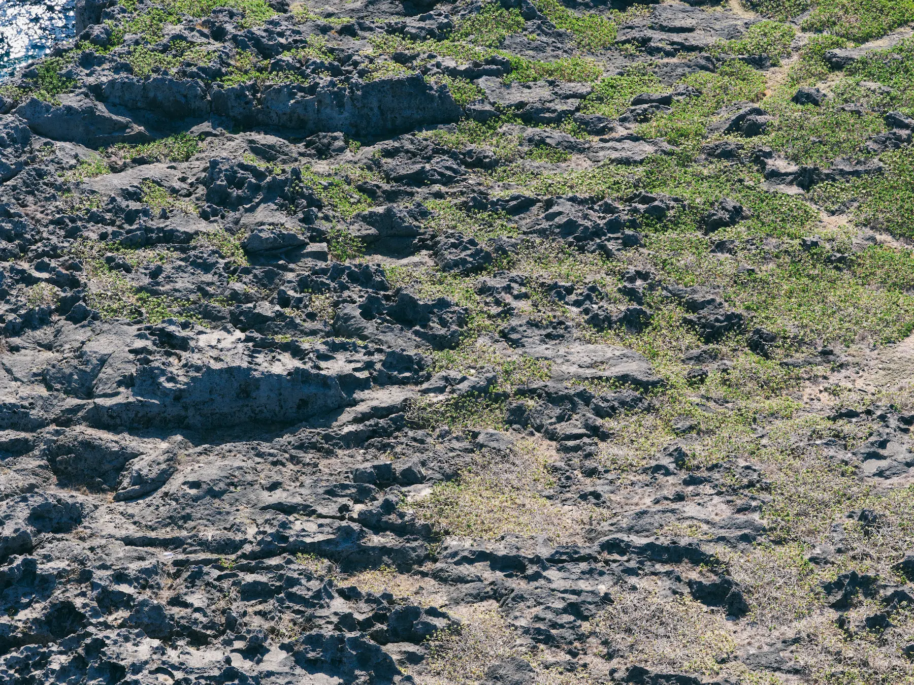 崖と、透き通る海-沖縄県中頭郡読谷村残波岬