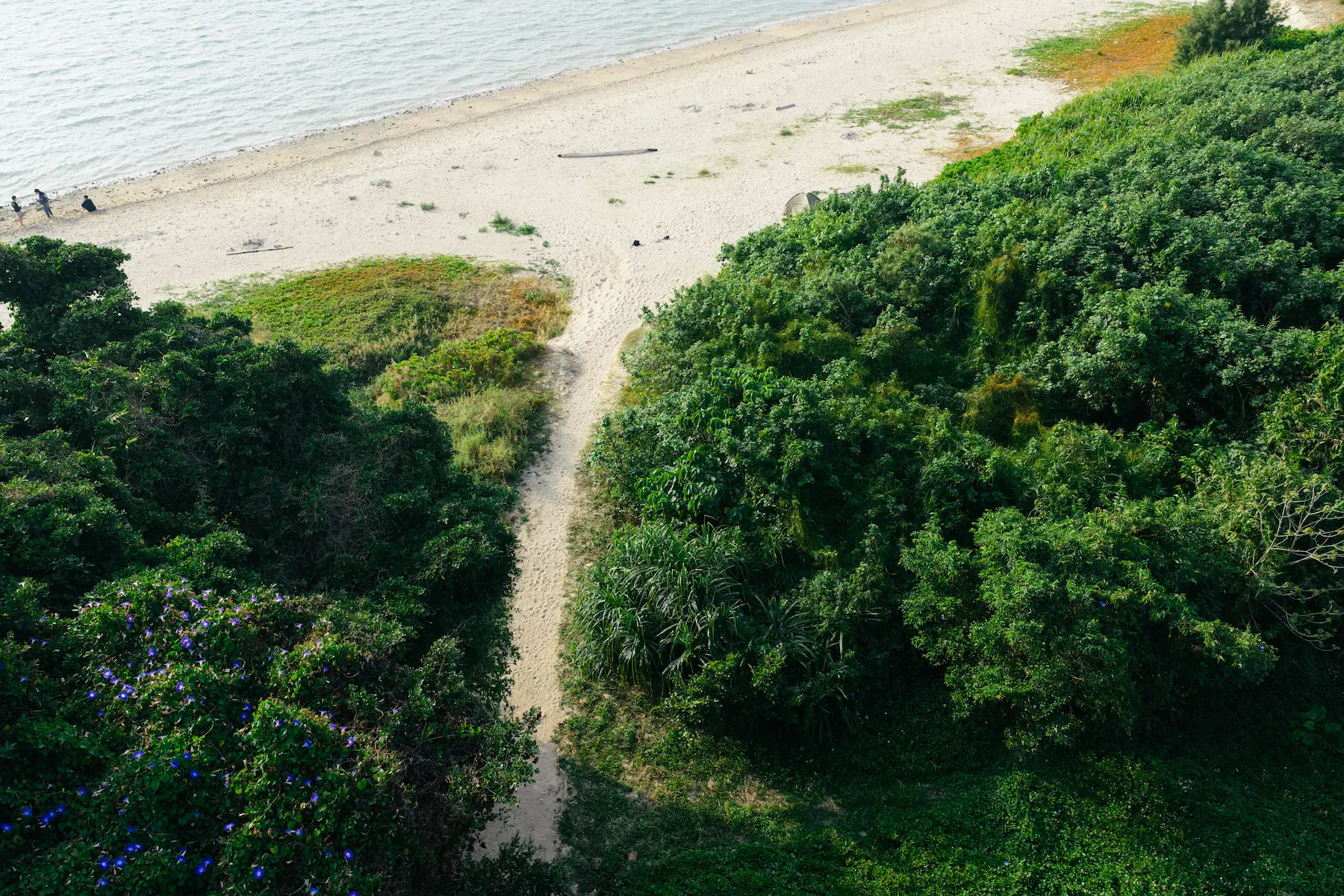 白い砂と、静かな海