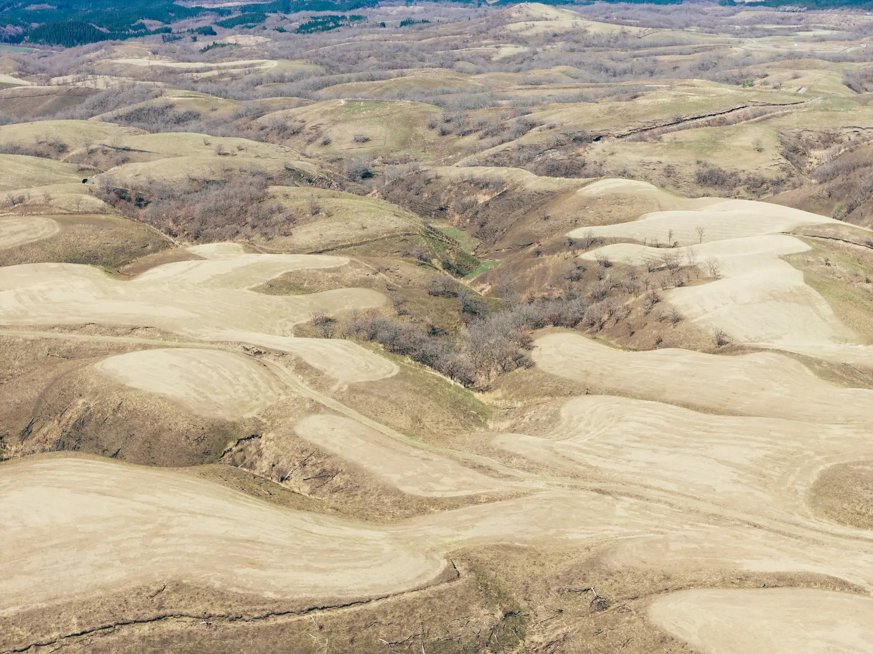 地形をなぞる一本の線 - 熊本県阿蘇市湯浦ミルクロード