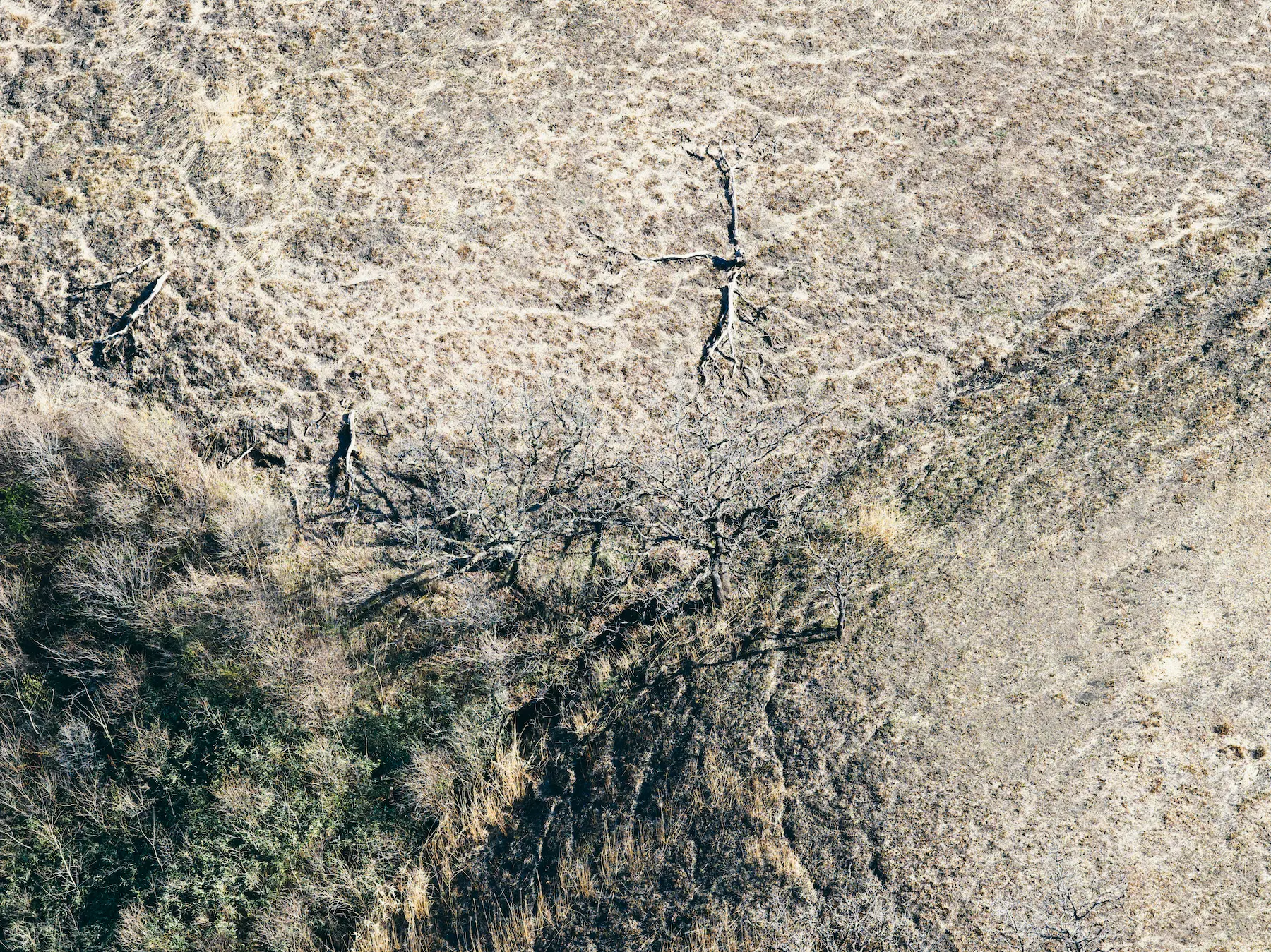 地形をなぞる一本の線 - 熊本県阿蘇市湯浦ミルクロード