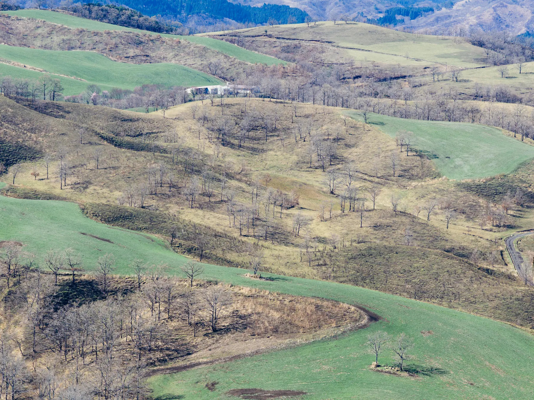 風と石のあいだにある場所 - 熊本県阿蘇郡南小国町押戸石の丘